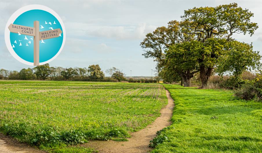 Footpath through a green farmer's field with an old oak tree and walking festival logo