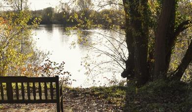 Chigborough Lakes Nature Reserve