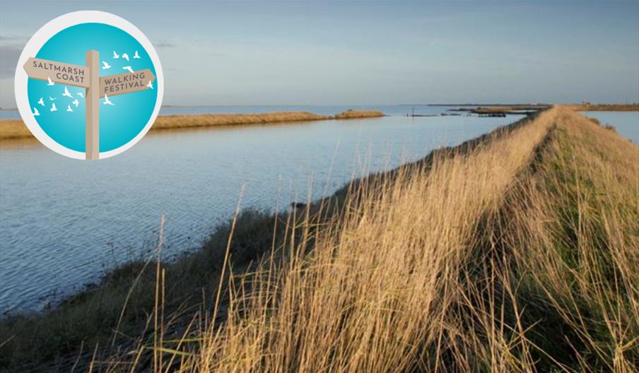 RSPB Nature Reserve at Wallasea Island