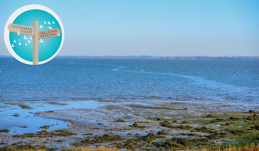 Blackwater Estuary by Paula Freeman