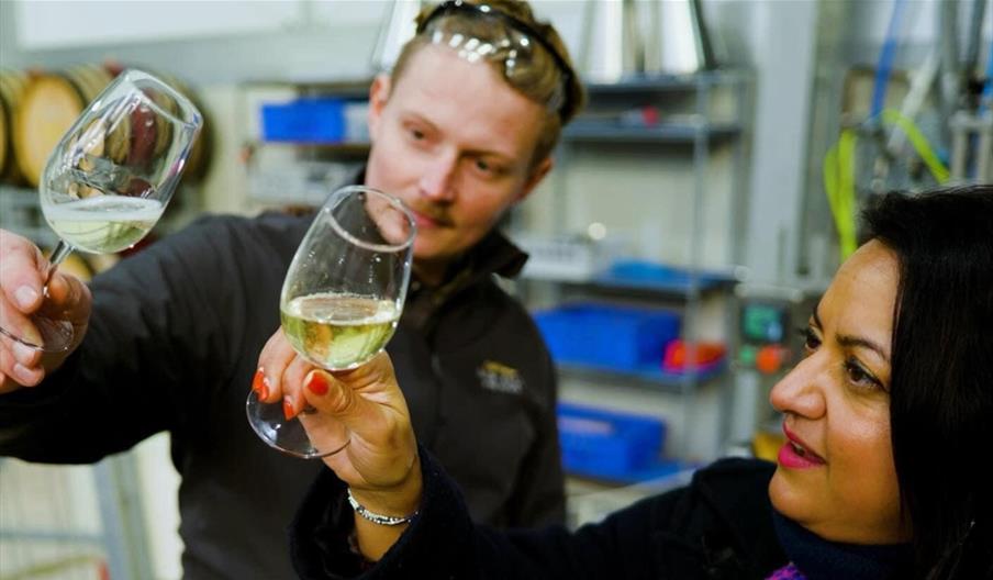 Wine Tasting Experience