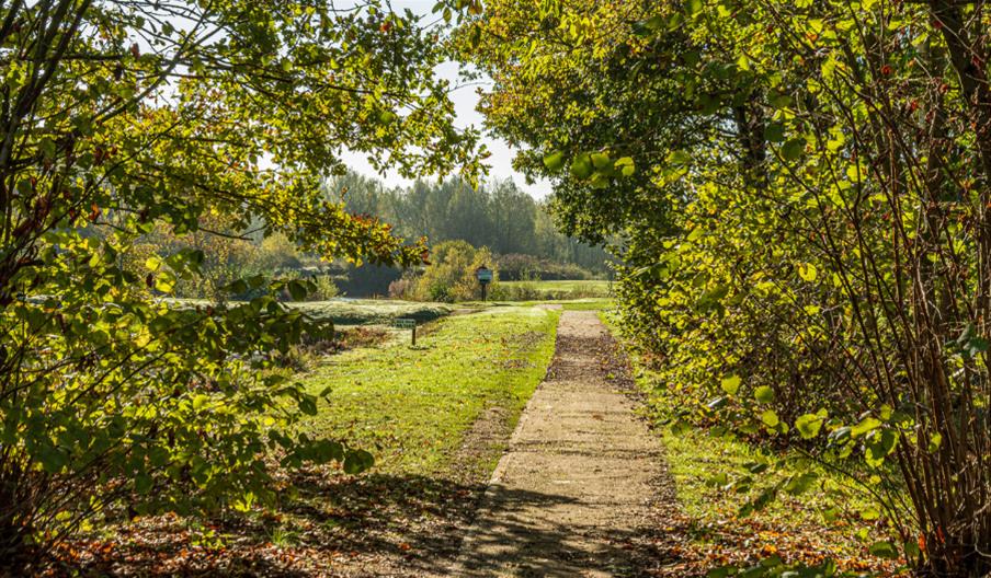 Lanes around Little Braxted