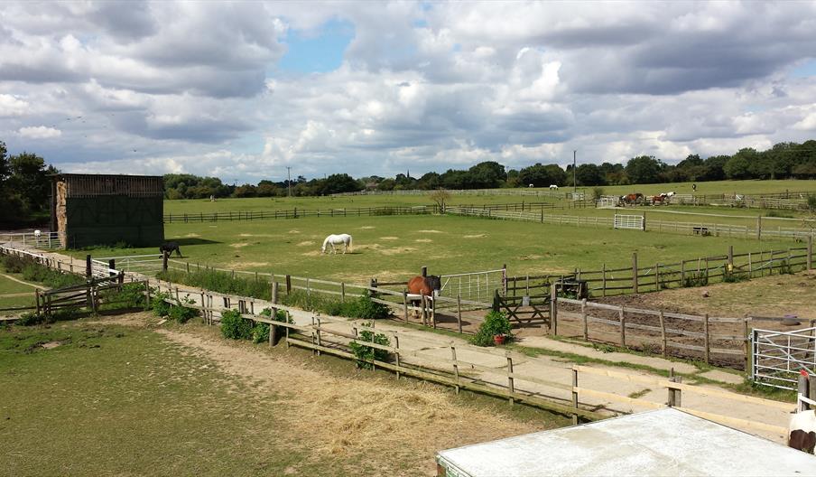 Marvens (Riding) Stables