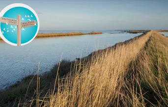 RSPB Nature Reserve at Wallasea Island