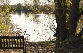 Chigborough Lakes Nature Reserve