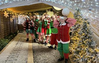 Elves at The Party Ki from Christmas Experience