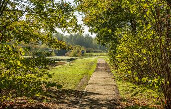 Lanes around Little Braxted