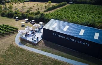 Crouch Ridge Vineyard