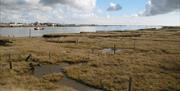 Wallasea Island: Former oyster pits by Nigel Cox