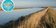 RSPB Nature Reserve at Wallasea Island