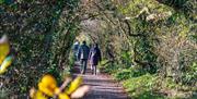 Sheltered path at Goldhanger, James Crisp