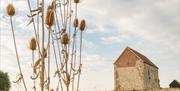 St Peter's with teasels in the foreground, Marion Sidebottom