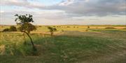 Landscape of fields under a cloudy sky at Blue House Farm, North Fambridge, by Paul Harris