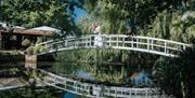 Monet-style bridge