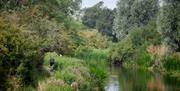 Cycling along the Chelmer and Blackwater Navigation