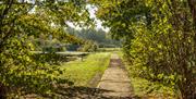 Lanes around Little Braxted