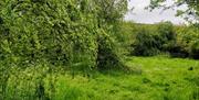 Mayland Nature Reserve Picnic Area