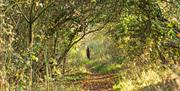 Around Maldon Wick nature reserve