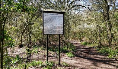 Mundon Furze Woodland entrance