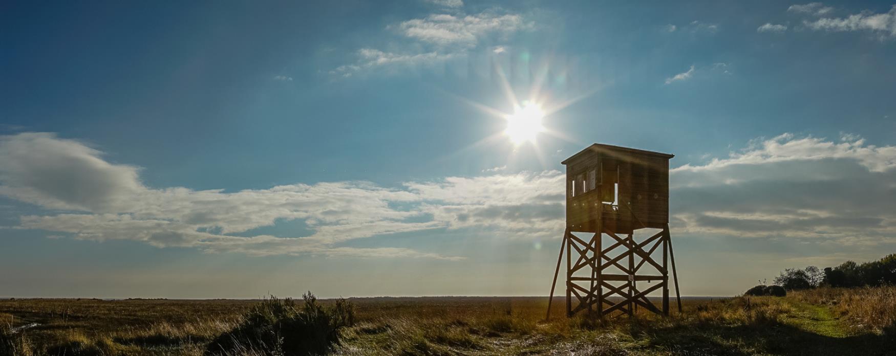 Wooden control tower silhouetted against the setting son at Bradwell-on-Sea, image by Marion Sidebottom