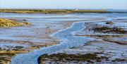 Beautiful Blackwater Estuary, Paula Freeman