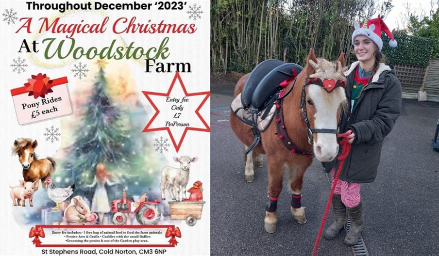 Poster and Christmas horse at Woodstock Farm