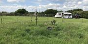 Spacious field at D'Arcy Equestrian Camping and Caravanning Club site