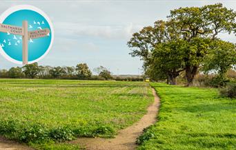 Footpath through a green farmer's field with an old oak tree and walking festival logo