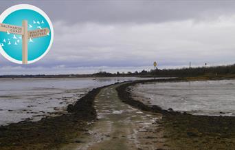 The tidal causeway at Northey Island