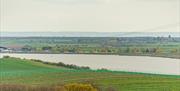Views over the Crouch Estuary from Althorne with vineyards, James Crisp