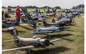 Model air planes lined up in a field