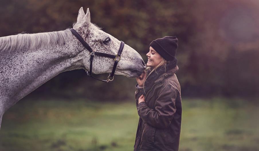 Grey horse being petted by pretty young woman from Dengie Crops