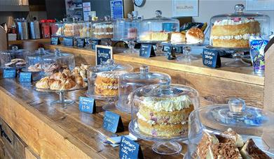 Counter at Ground Coffee House covered in delicious home made cakes