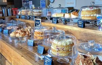 Counter at Ground Coffee House covered in delicious home made cakes