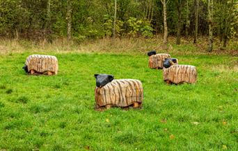 Carved wooden sheep at Jubilee Woods, photo by James Crisp