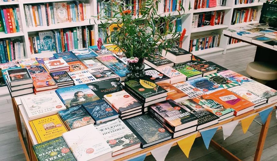 Table piled with exciting books at Maldon Books