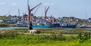 View of Maylandsea marina from the distance with Thames Barge sails