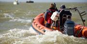 People in rigid inflatable powerboat learning to pilot at powerboat
