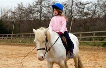 Young girl on pony