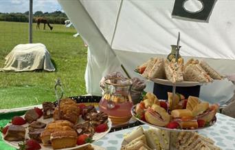 Afternoon tea served in a yurt with an alpaca in the field behind