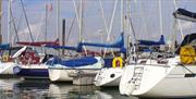 Yachts at Fambridge Yacht Haven