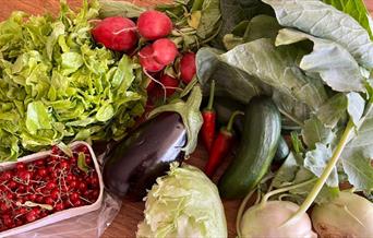 Delicious selection of vegetables from Lauriston Farm's vegetable bag scheme