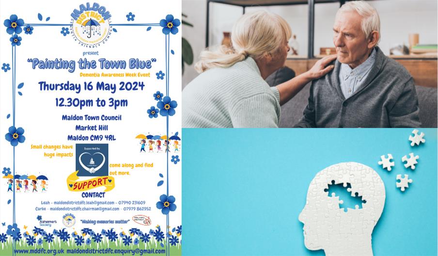 Painting the Town Blue - Dementia Awareness event for carers and those being cared for