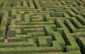 An aerial shot of a hedge maze.