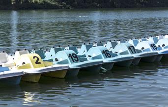 A line up of pedalos on the water.