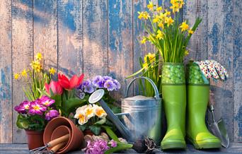 Spring image with flowers in pots, water can and welly boots