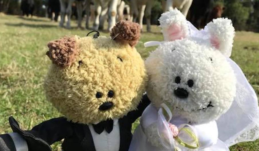 River Field Vegan Weddings - knitted dolls on field