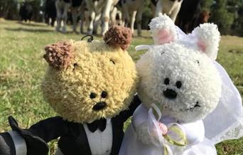 River Field Vegan Weddings - knitted dolls on field